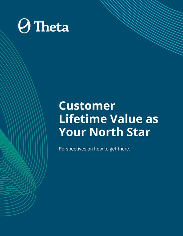 Customer Lifetime Value As Your North Star - Page 1