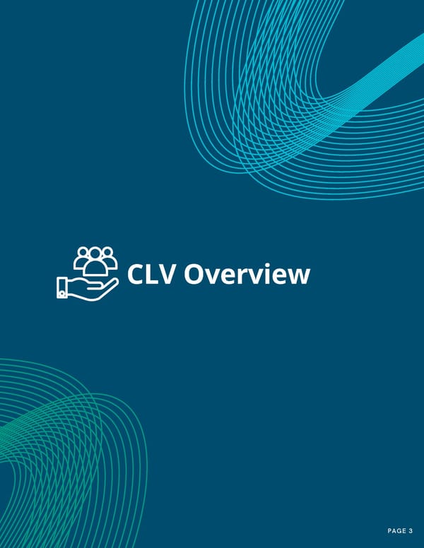 Customer Lifetime Value As Your North Star - Page 3