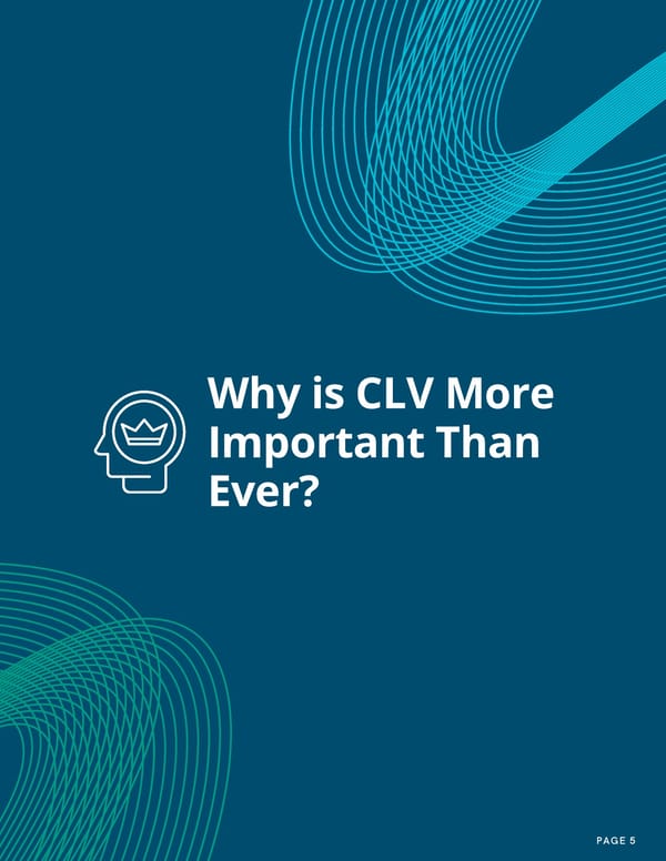 Customer Lifetime Value As Your North Star - Page 5
