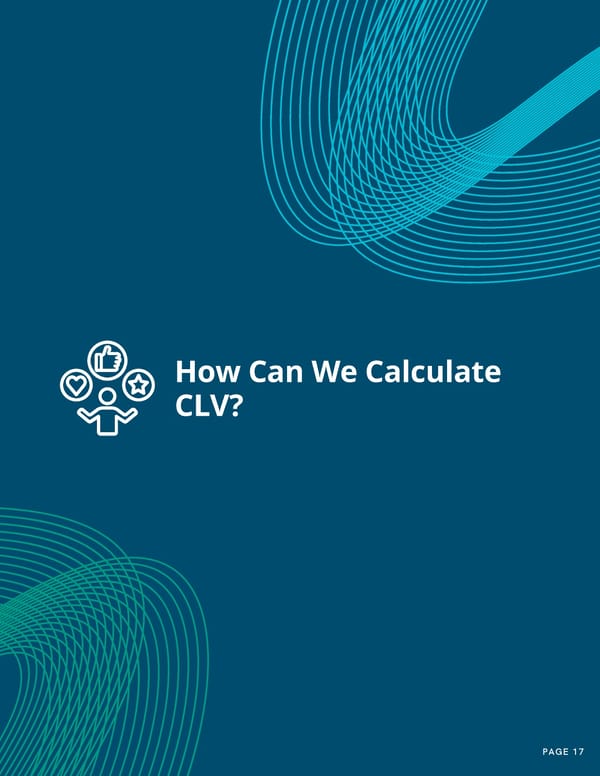 Customer Lifetime Value As Your North Star - Page 17